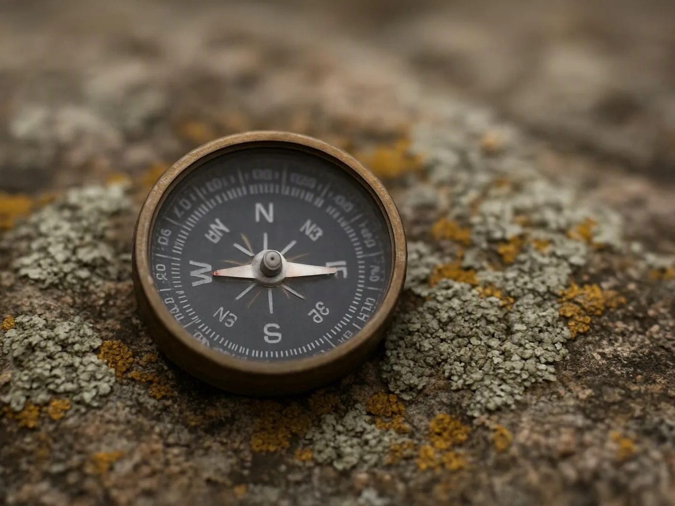A small compass rests on rough lichen-covered rock in a close-up outdoor scene